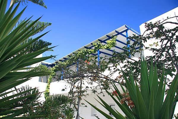 Loukia Apartments & Studios Naousa  Ngoại thất bức ảnh